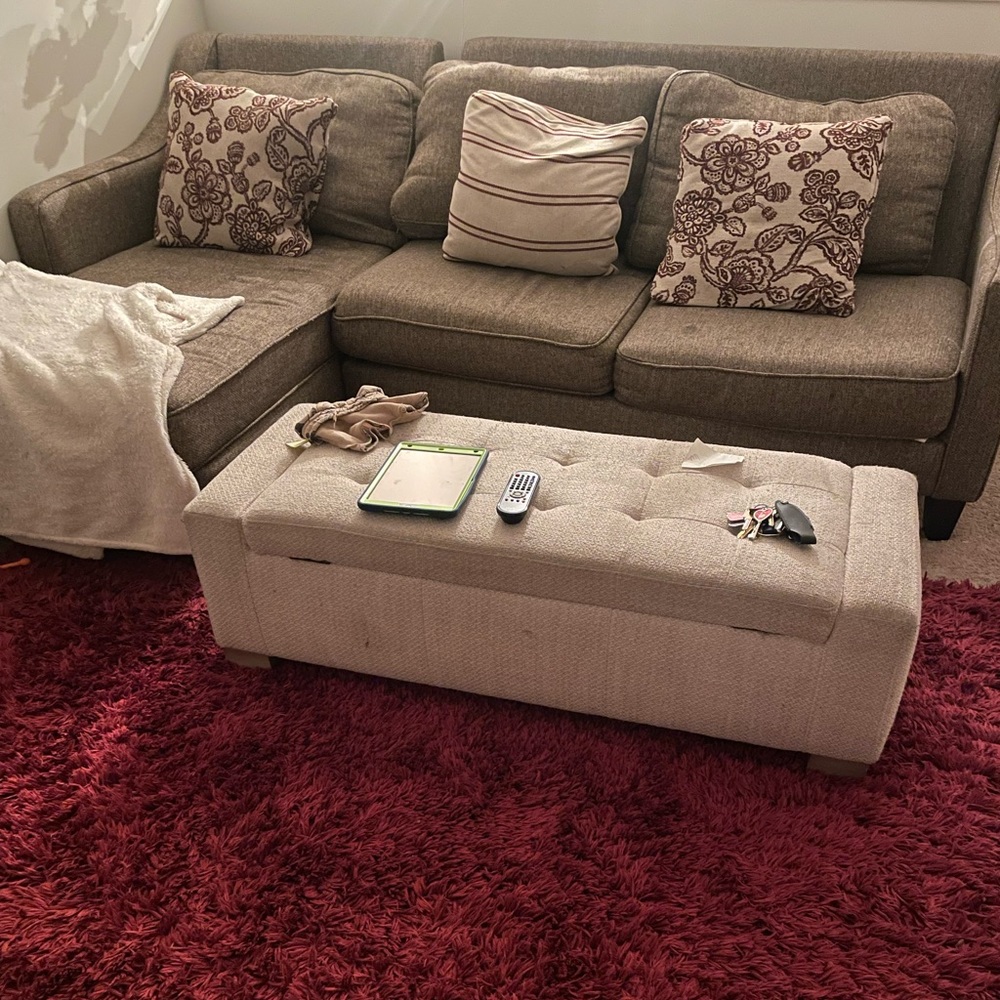 Raymour and Flanigan couch set